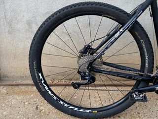 Bici MTB Focus 29