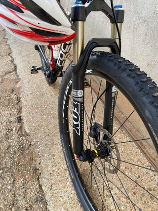 Bici MTB Focus 29