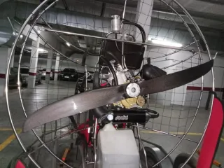 Paratrike Polini thor-250