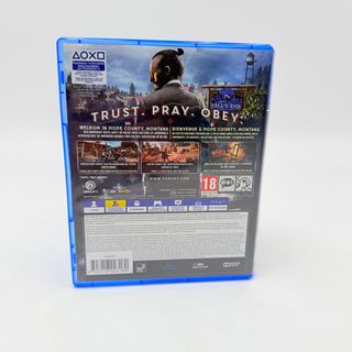 Far Cry 5 PS4 Videogioco Completo Playstation 4