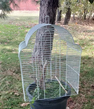 Jaula Decorativa Blanca