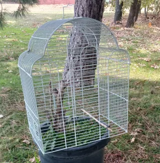 Jaula Decorativa Blanca