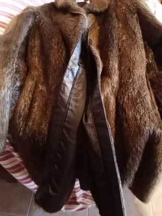 Pelliccia Castorino Marrone