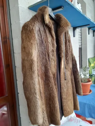 Pelliccia Castorino Marrone