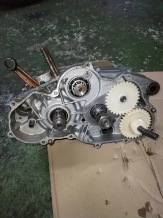 Motor Aprilia Rotax 123 125cc