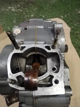 Motor Aprilia Rotax 123 125cc