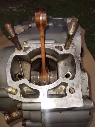 Motor Aprilia Rotax 123 125cc