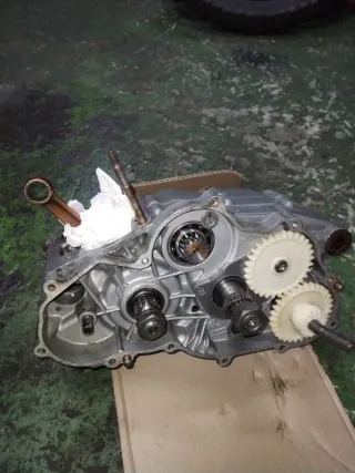 Motor Aprilia Rotax 123 125cc