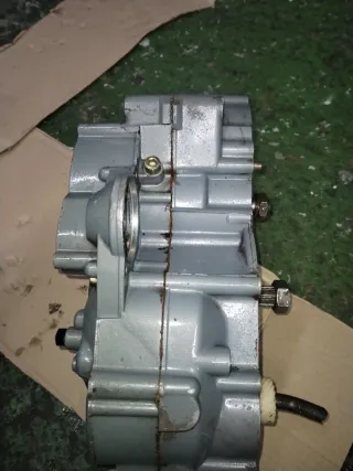 Motor Aprilia Rotax 123 125cc