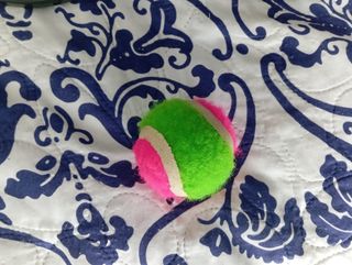 Juego raquetas velcro palas con pelota