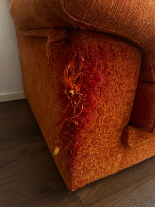 Sofá naranja 2m, arañado por gatos