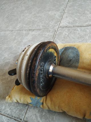 Mancuerna con discos 8kg