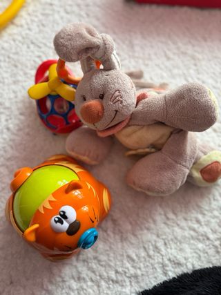 Juguete Tortuga Bebé con Engranajes