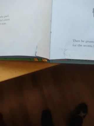 Cuento en ingles,the lorax