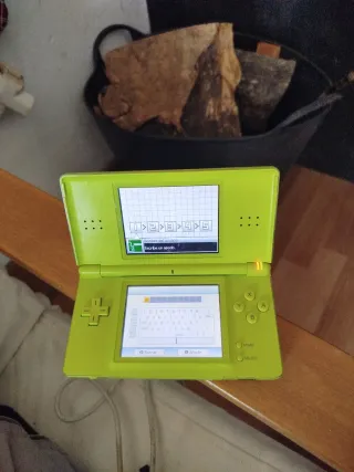 Custodia Nintendo DS con giochi e accessori