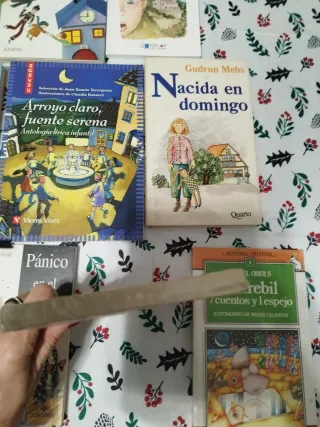 Lote 16 libros infantiles/juveniles(14)