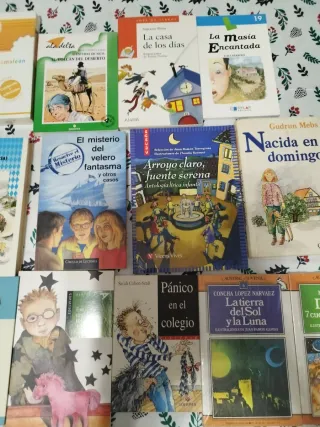 Lote 16 libros infantiles/juveniles(14)