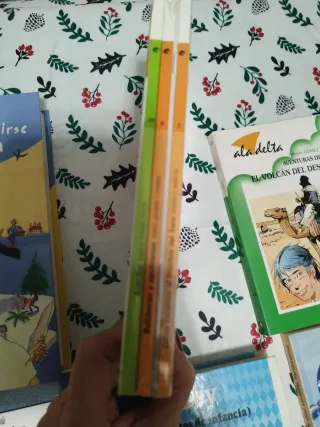 Lote 16 libros infantiles/juveniles(14)