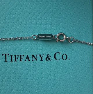 Colgante 2 corazones plata