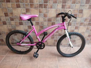 Bicicleta Infantil Rosa 20''