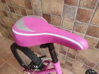 Bicicleta Infantil Rosa 20''