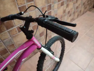 Bicicleta Infantil Rosa 20''