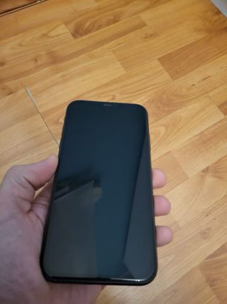 iPhone 11 e Apple Watch SE