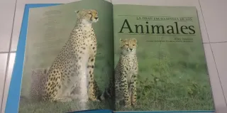 Regalo Navidad!! Enciclopedia de los Animales