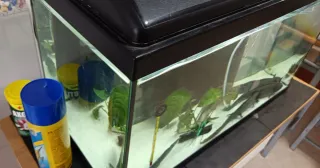 Acuario Aqualantis 70L