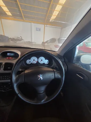 Peugeot 206 quiksilver dado de baja