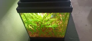 Acuario Aqualantis 72L