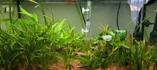 Acuario Aqualantis 72L