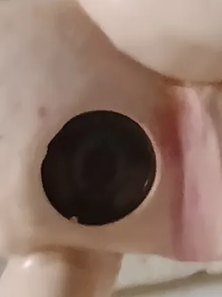 Pastori Fontanini Depose