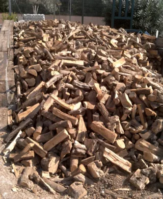 Leña seca de encina