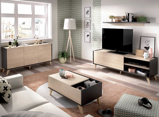 Mueble Bajo Tv. Gris Grafito y Nature