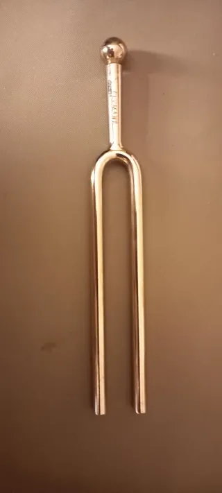 Chitarra classica Tamaki