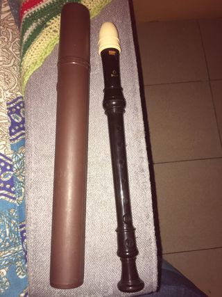 2 Flautas Hohner Melody Blockflöte