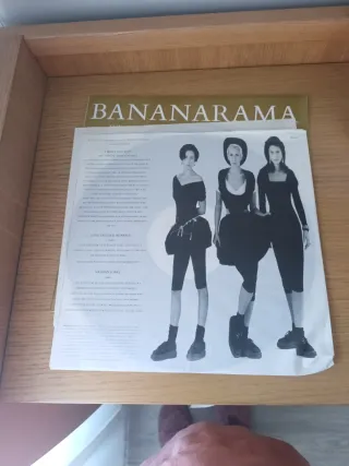 Bananarama Greatest Hits 2 Vinilos LP