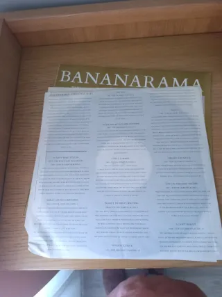 Bananarama Greatest Hits 2 Vinilos LP