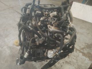 Bloque Motor y Culata Ford Transit Custom