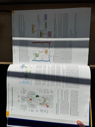 Texto y Atlas Anatom.3aEd,T2: Órganos Internos ...