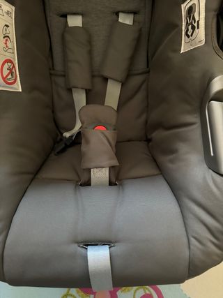 Maxi-Cosi Inglesina Silla de Coche
