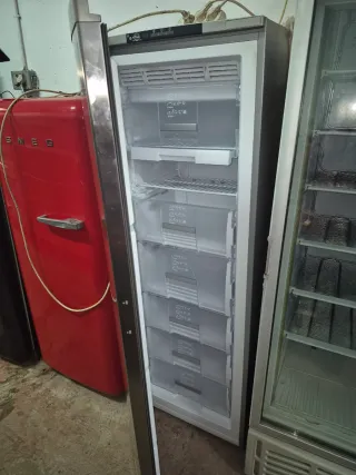Congelador vertical