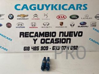 Amortiguadores Citröen Fiat R3278