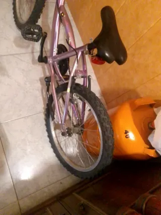Bicicleta infantil morada
