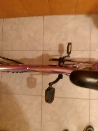 Bicicleta infantil morada