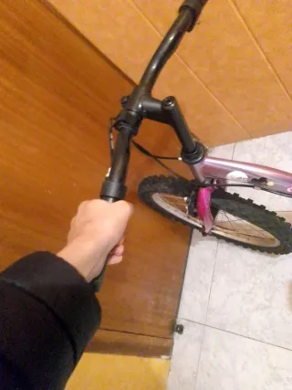 Bicicleta infantil morada