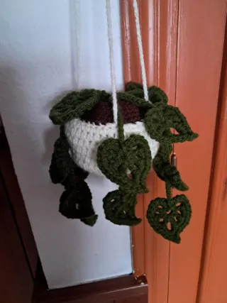 Planta Colgante Crochet Decorativa