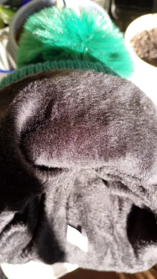 Gorro invierno verde botella