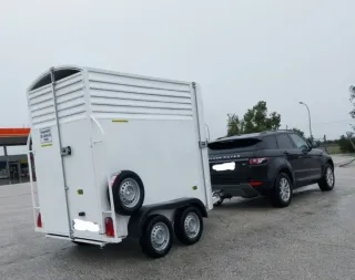 Remolque vang de caballo y medio